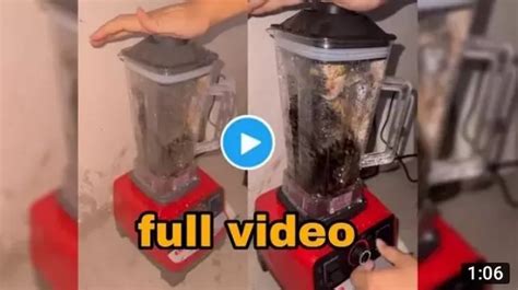 who put a cat into a blender|The guy that put the cat in a blender got arrested recently ...